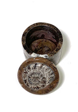 Load image into Gallery viewer, ammonite fossil circular box