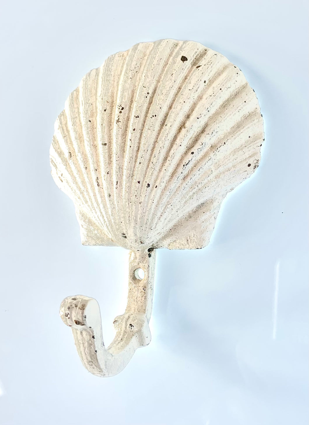 rustic scallop shell wall hook
